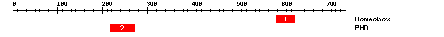 Signature Domain