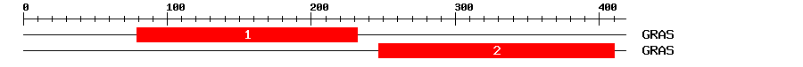 Signature Domain