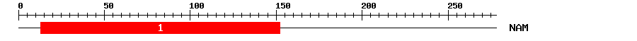 Signature Domain