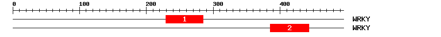 Signature Domain