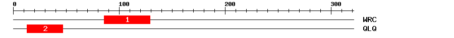 Signature Domain