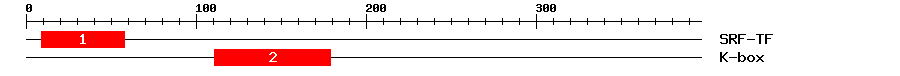 Signature Domain