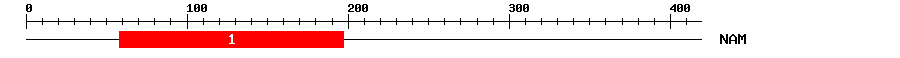 Signature Domain