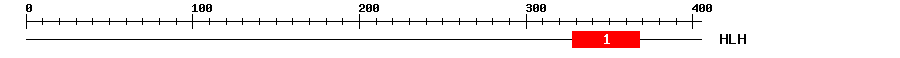 Signature Domain