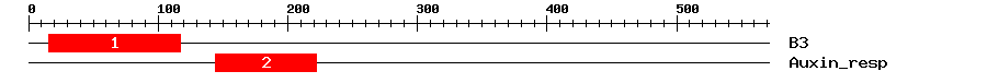 Signature Domain
