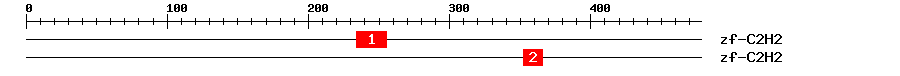 Signature Domain