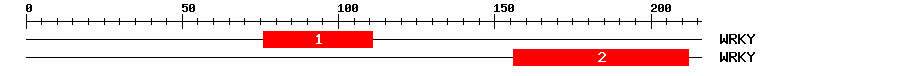 Signature Domain