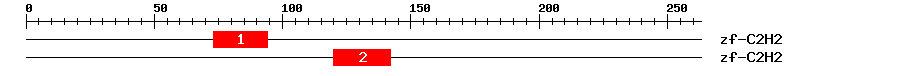 Signature Domain