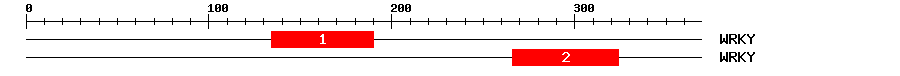 Signature Domain