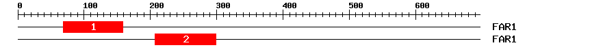 Signature Domain