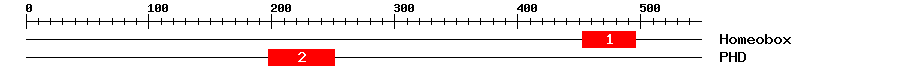 Signature Domain