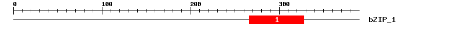 Signature Domain