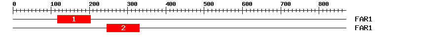 Signature Domain