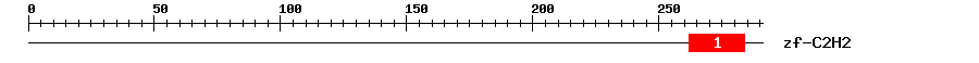 Signature Domain