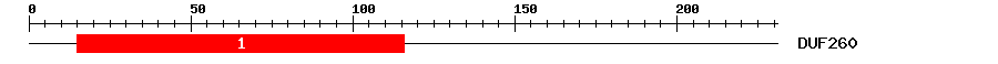 Signature Domain