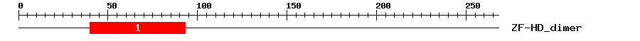 Signature Domain