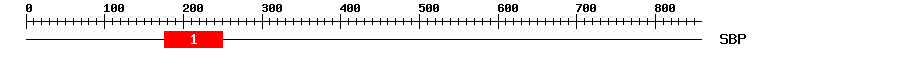 Signature Domain