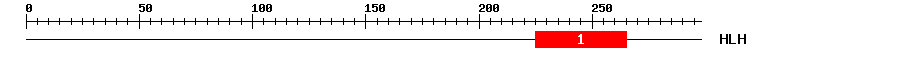Signature Domain