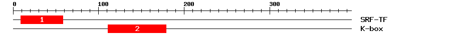 Signature Domain