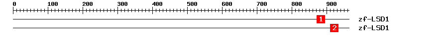 Signature Domain