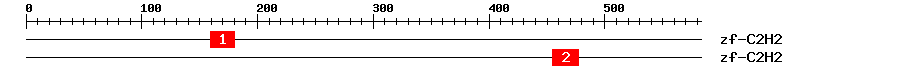 Signature Domain