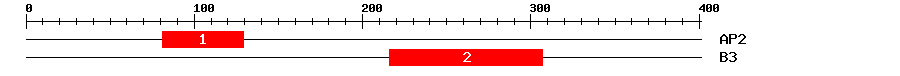 Signature Domain