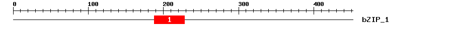 Signature Domain