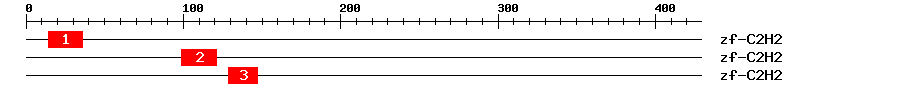 Signature Domain
