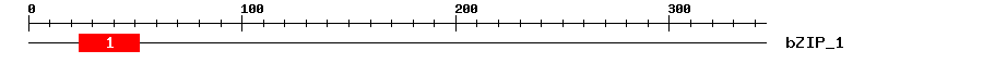 Signature Domain