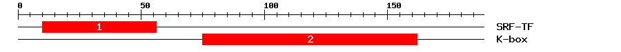 Signature Domain
