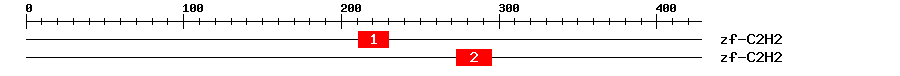Signature Domain