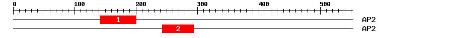 Signature Domain