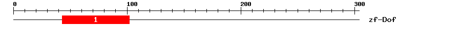 Signature Domain