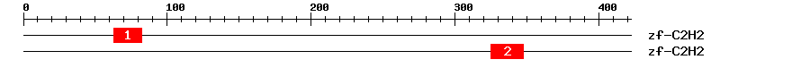Signature Domain