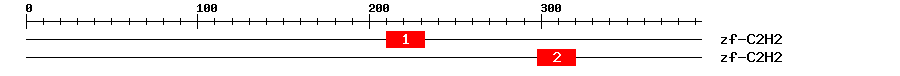 Signature Domain