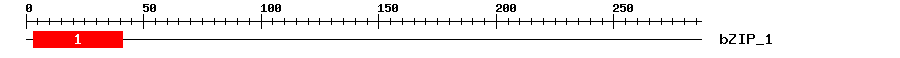 Signature Domain