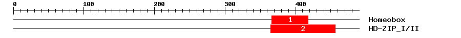 Signature Domain