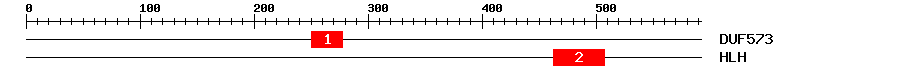 Signature Domain