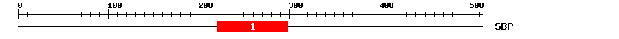 Signature Domain
