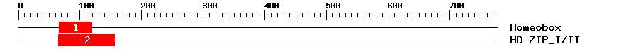 Signature Domain