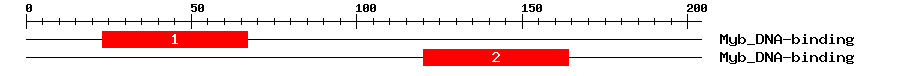 Signature Domain