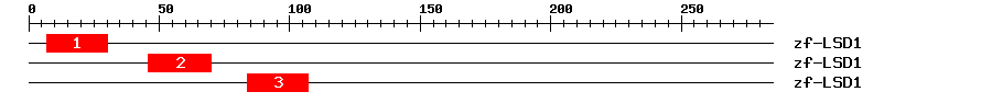 Signature Domain