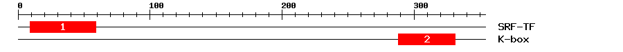 Signature Domain
