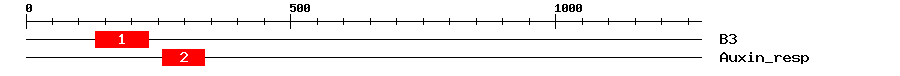 Signature Domain
