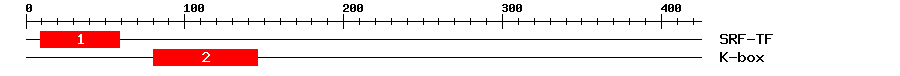 Signature Domain