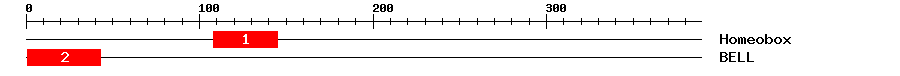 Signature Domain