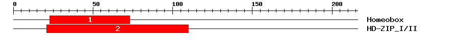 Signature Domain