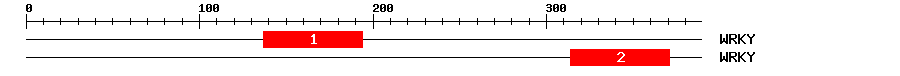 Signature Domain