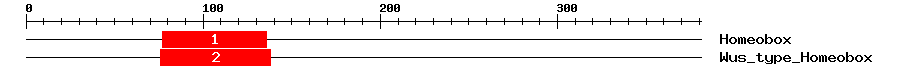 Signature Domain