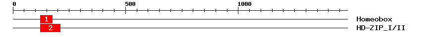 Signature Domain
